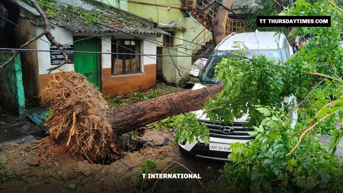An uprooted tree lies across a car outside a house in Visakhapatnam